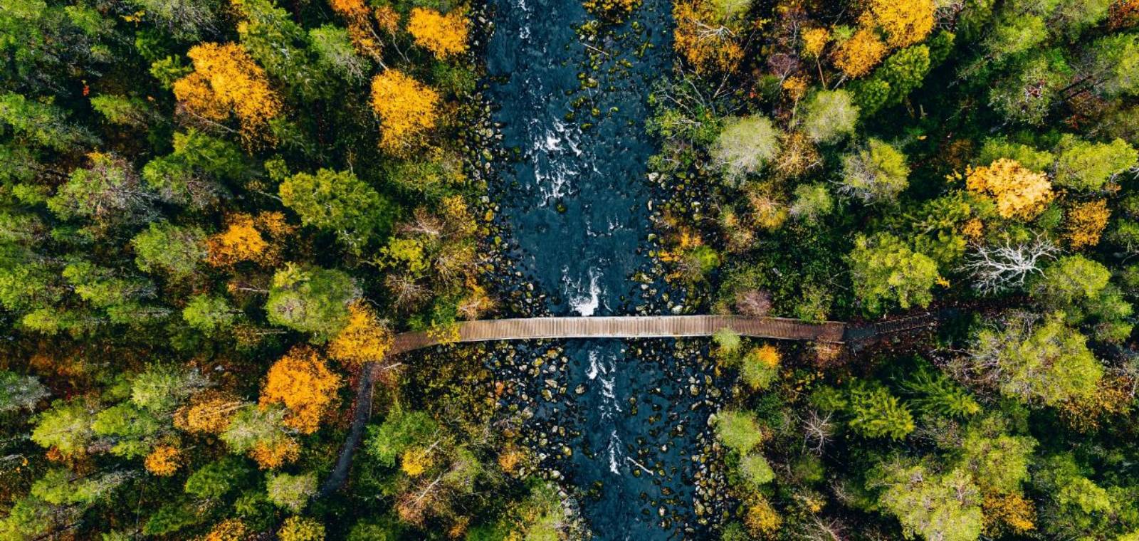 Blended Finance: Bridging the Sustainability Funding Gap