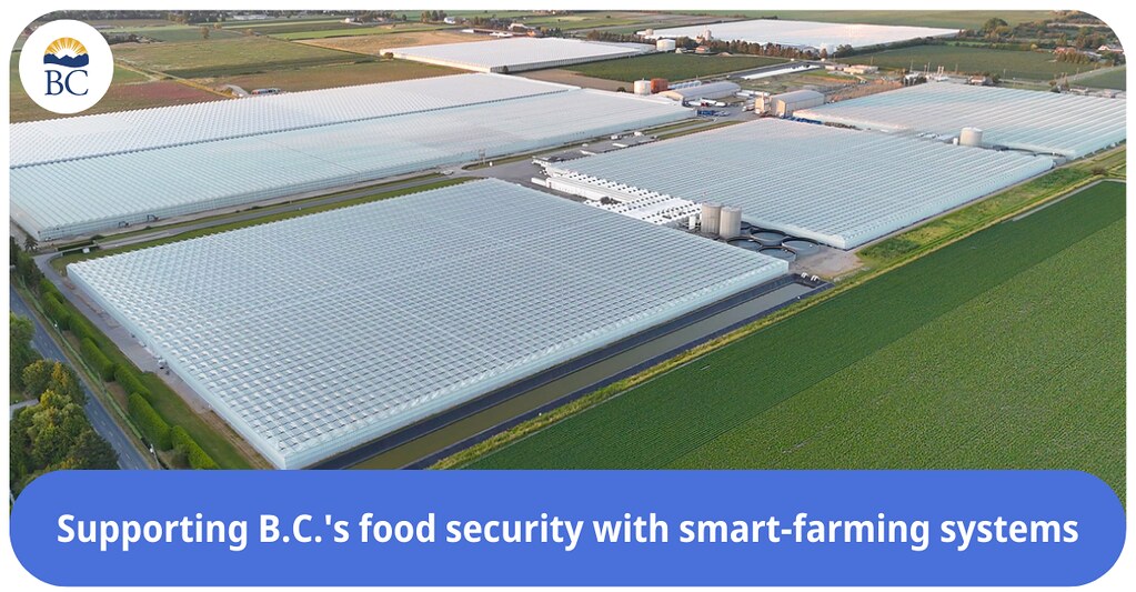 Supporting B.C.’s food security with new technology, training