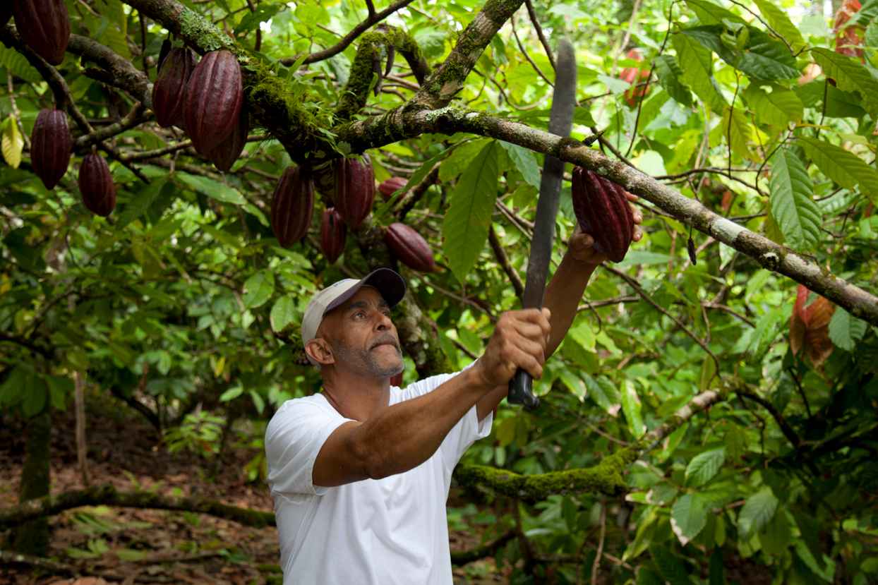 Insight Closing the emerging markets investment gap through blended finance