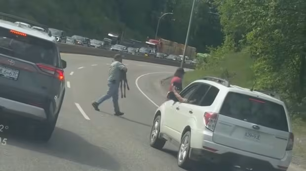Man carries trapped moose calf across busy Prince George highway