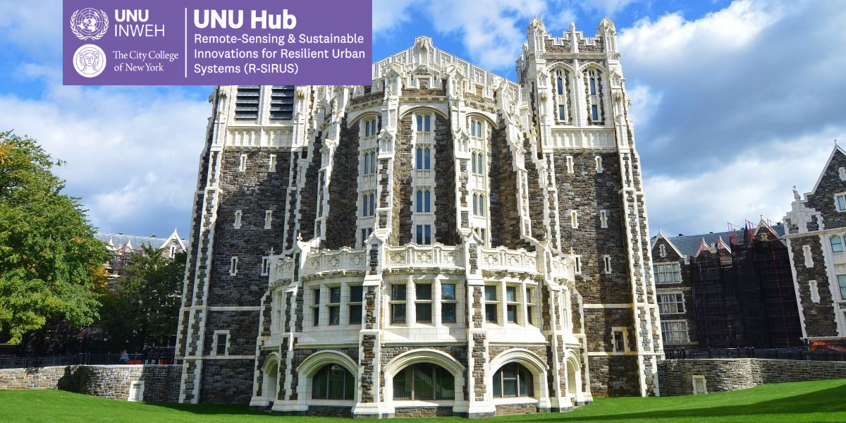 Digital Earth and Artificial Intelligence for Sustainability: Professional Development Workshop