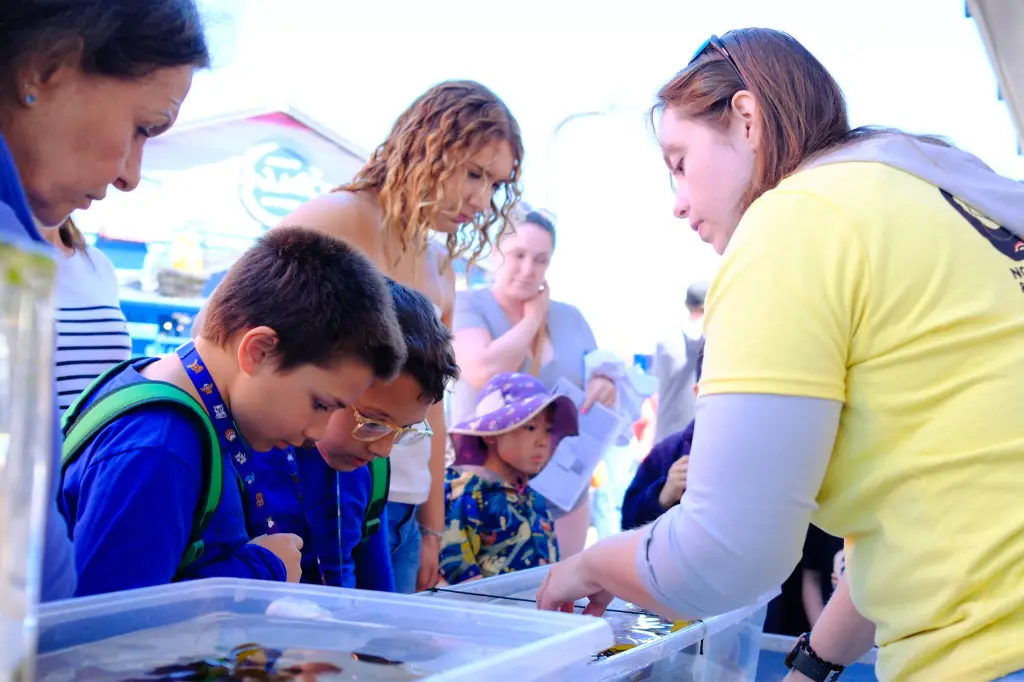 ‘Lifeblood of the planet’: Victoria celebrates its 12th World Ocean Day