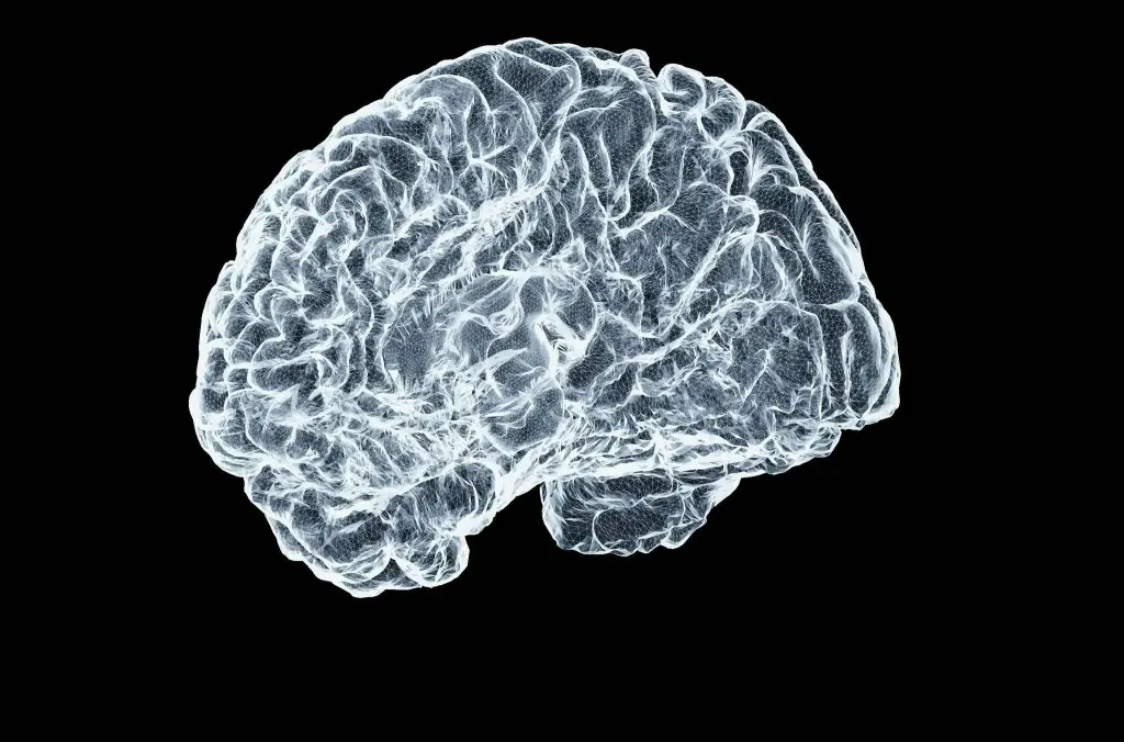 Health Canada approves new Alzheimer’s therapy