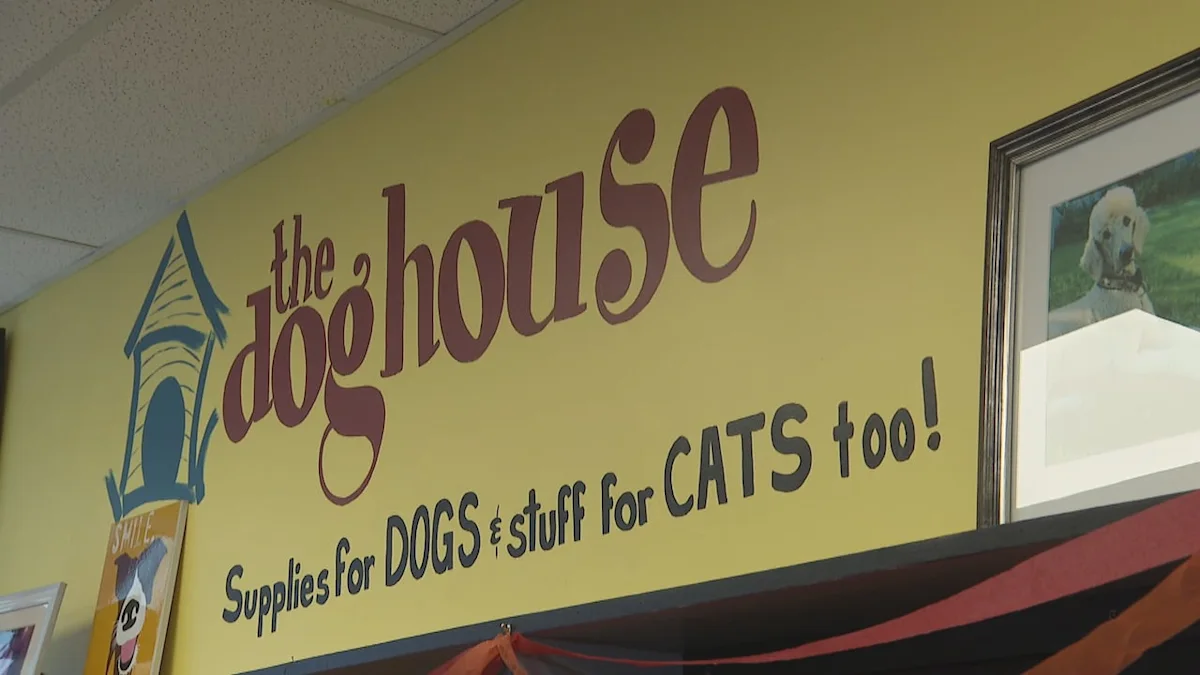 The Doghouse celebrates 25 years in business