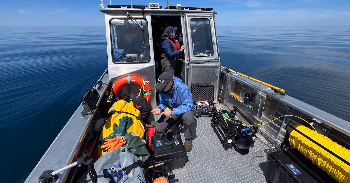 Discovering the giants swimming in the depths of the Great Lakes