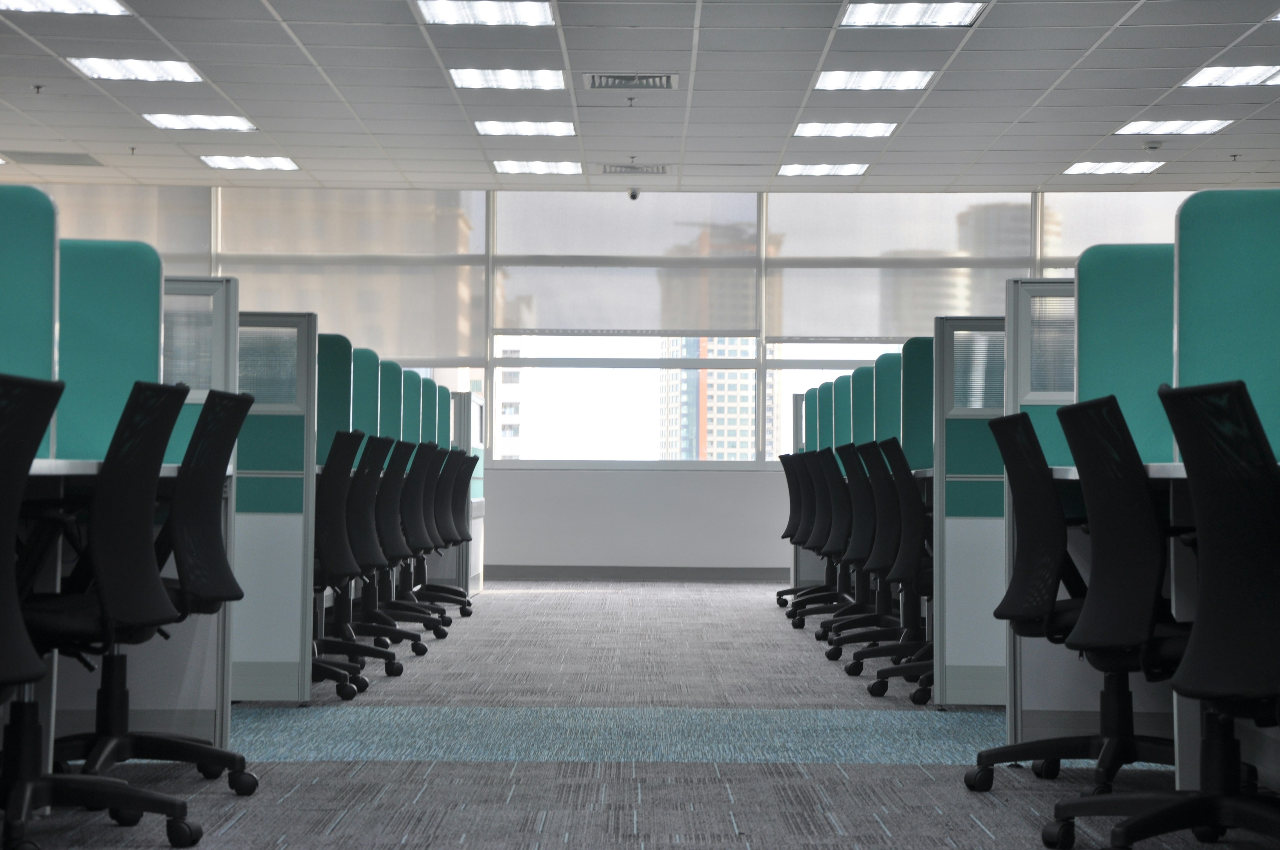 How Are Rising Employment Costs Creating A New Market For AI Startups?