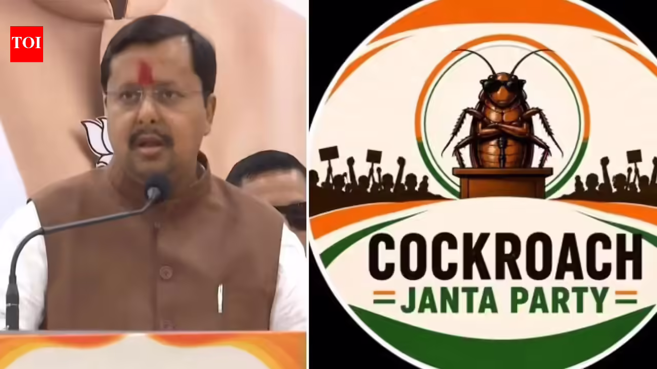 'People sitting abroad ... ': BJP chief's veiled attack at CJP protest over 'dragging youth into negative