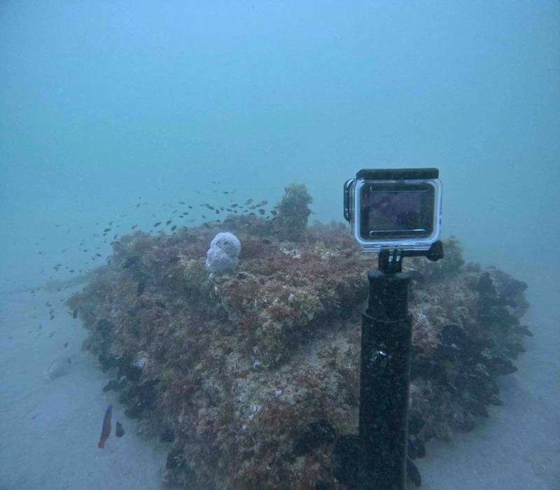Ecocoast Launches Ecoreef Mooring Block