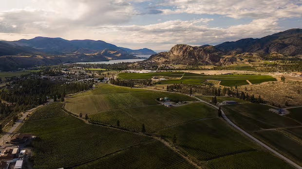 Rain helps lower wildfire risk in parts of B.C.