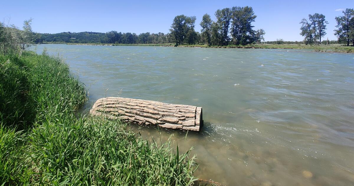 Water researchers strengthen Canada’s water forecasting in a changing climate