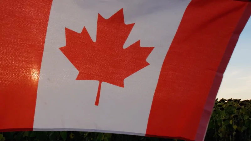 Canada earns historic first draw at FIFA World Cup