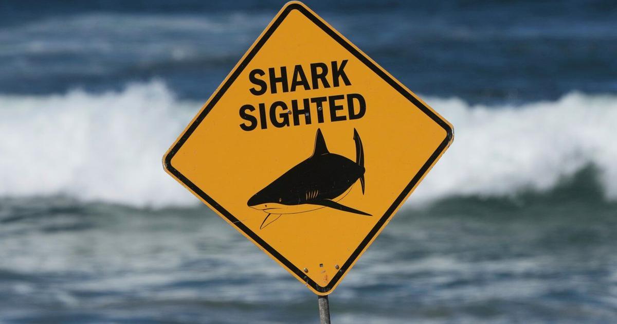 Woman critically injured in shark attack off Sydney’s Coogee Beach