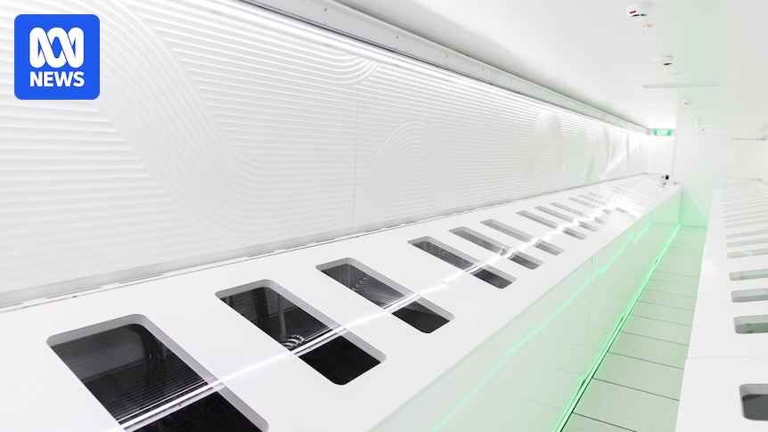 AI company set to become Tasmania's largest power user