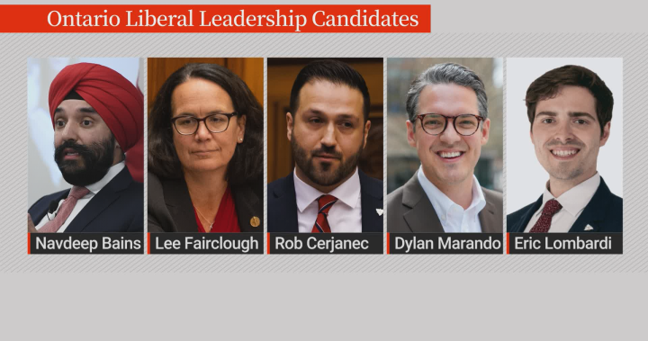 Ontario Liberal leadership candidate vows to make health care more ‘competitive’