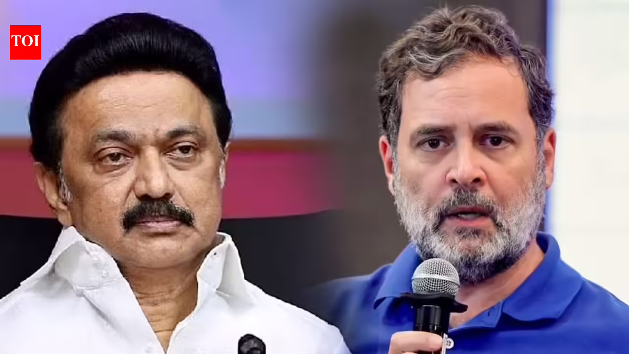 DMK Editorial Questions Rahul Gandhi's Politics Amid Growing Alliance Rift | Watch