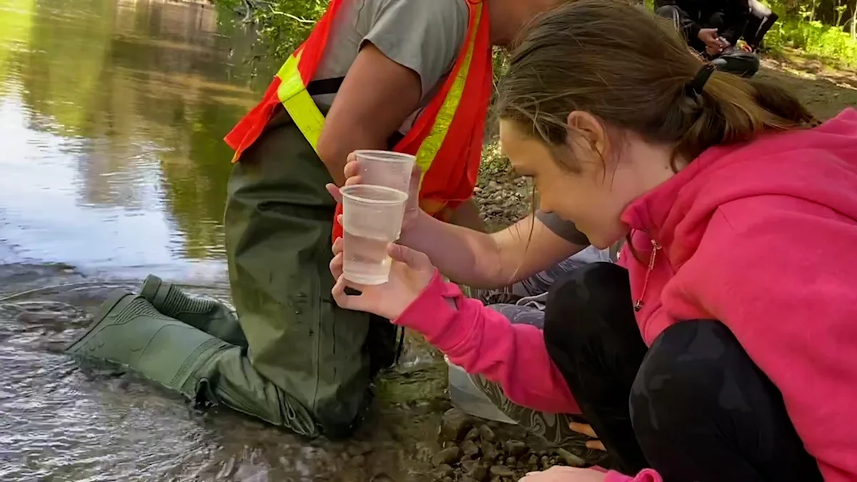 Ontario students help restore Atlantic salmon population