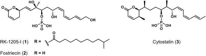 Artificial intelligence-based phenotypic screening using Aspergillus oryzae identified a novel antifungal RK-1205