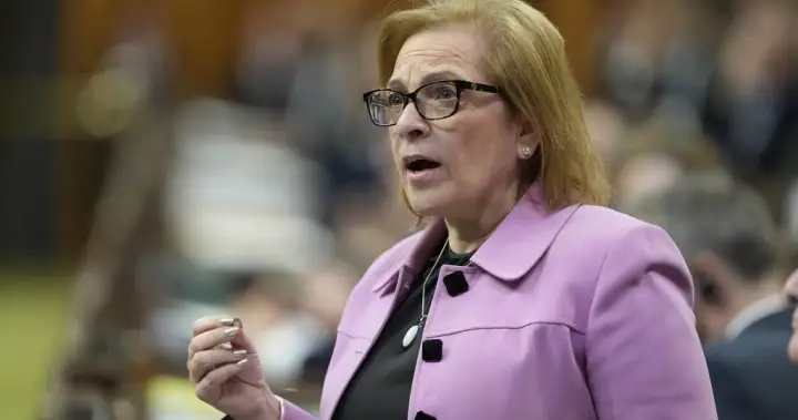 ‘Something’ led to ‘lost Canadian’ citizenship recalls, minister says