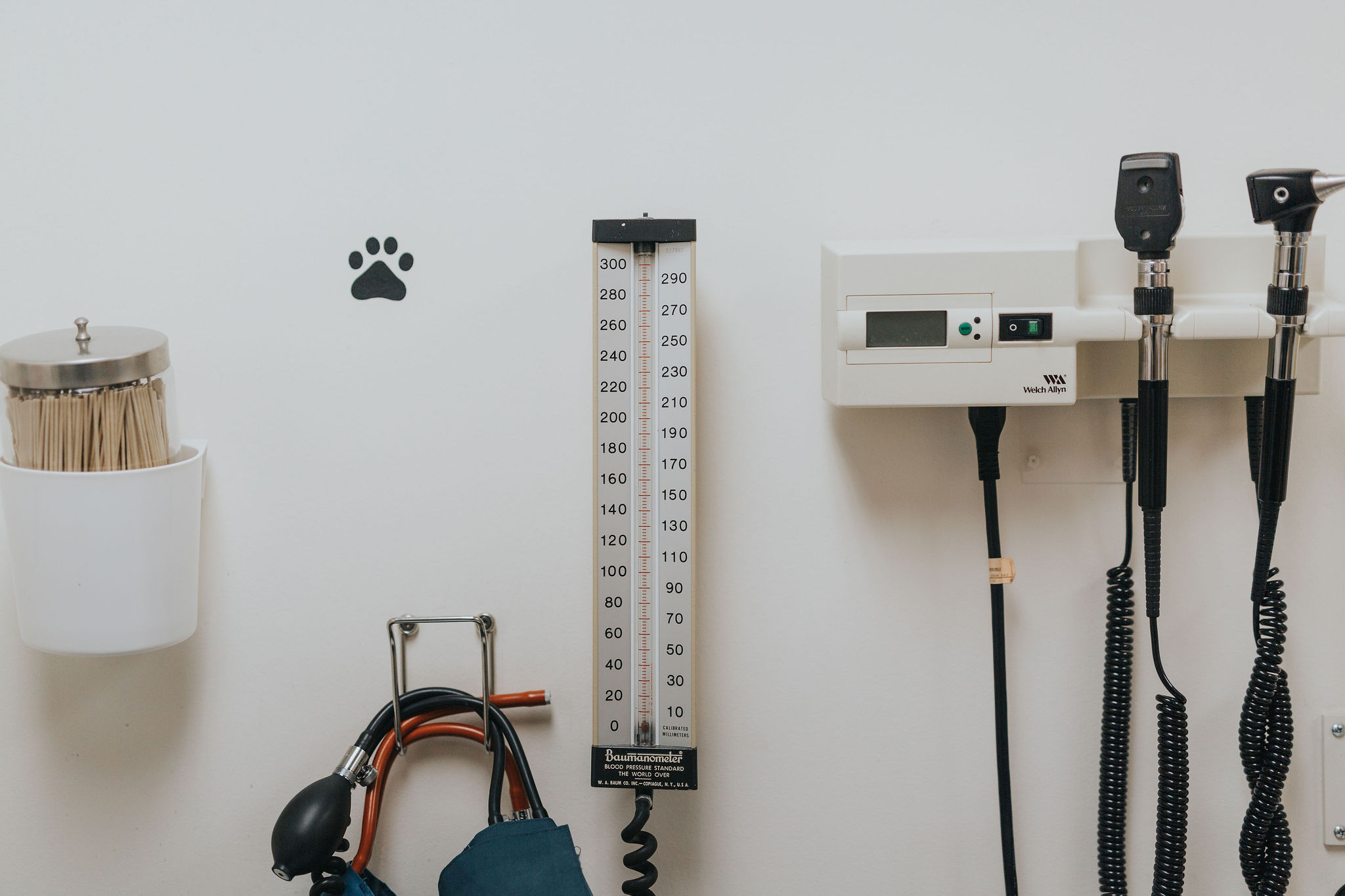 Updated Advice to the Profession: Artificial Intelligence in Clinical Practice