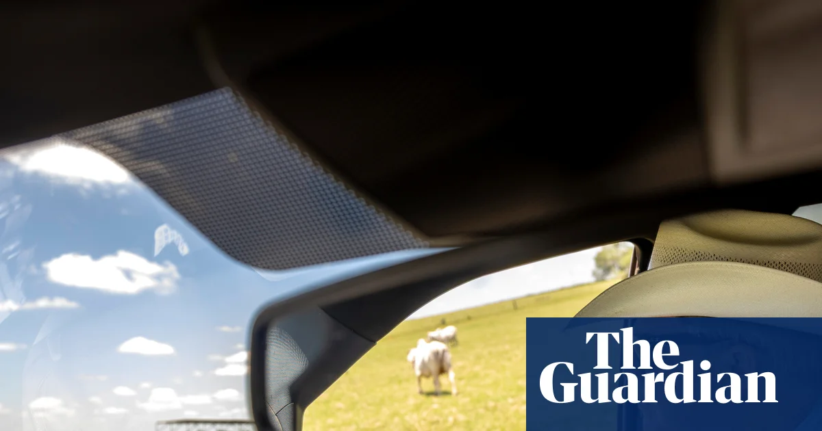 Farm workers at higher risk amid screwworm outbreak in US south