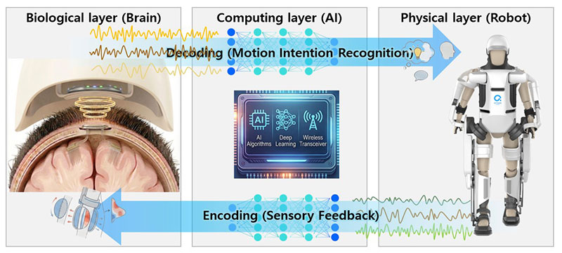KAIST Pioneers Brain-to