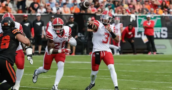 Stampeders ruin Lions’ party with 41