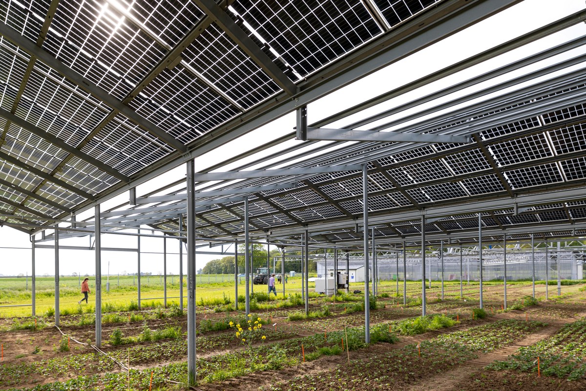 ERC Funds Jülich Recycling Technology For Solar Modules