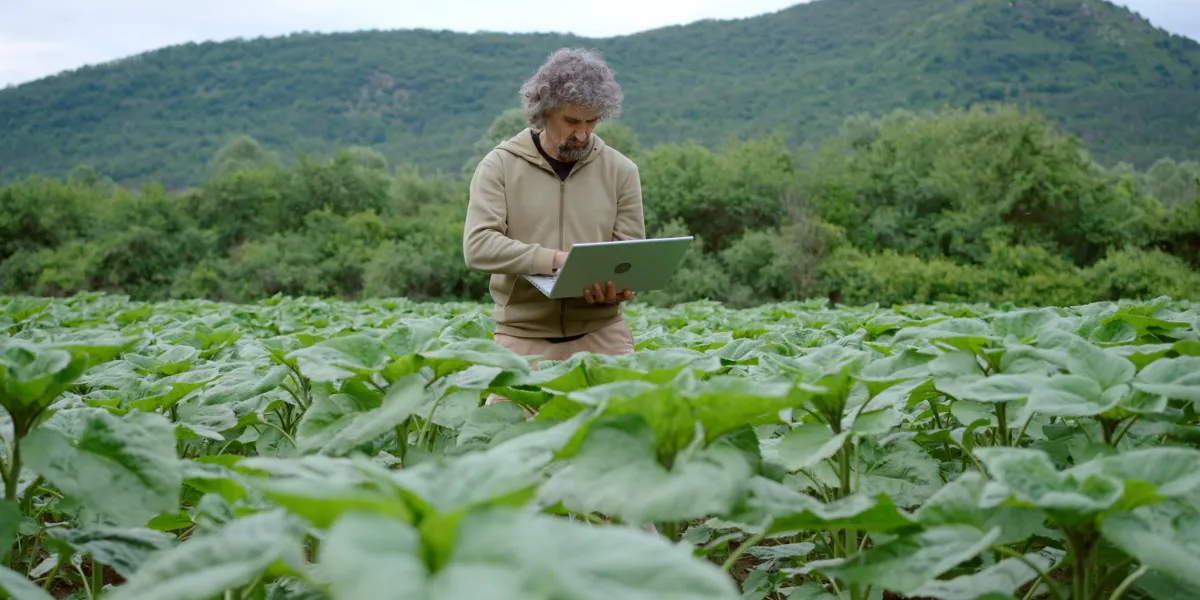 Agriculture is ready for AI, but its data isn’t