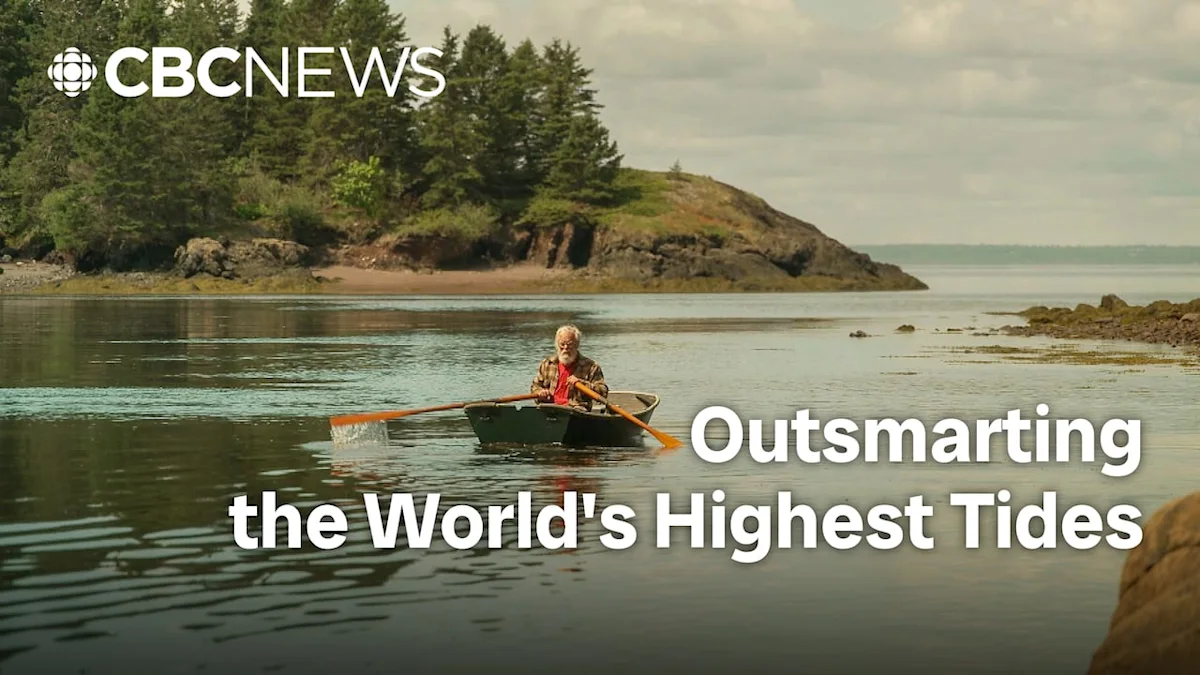 Outsmarting the world's highest tides with a 'wheelbarrow boat'