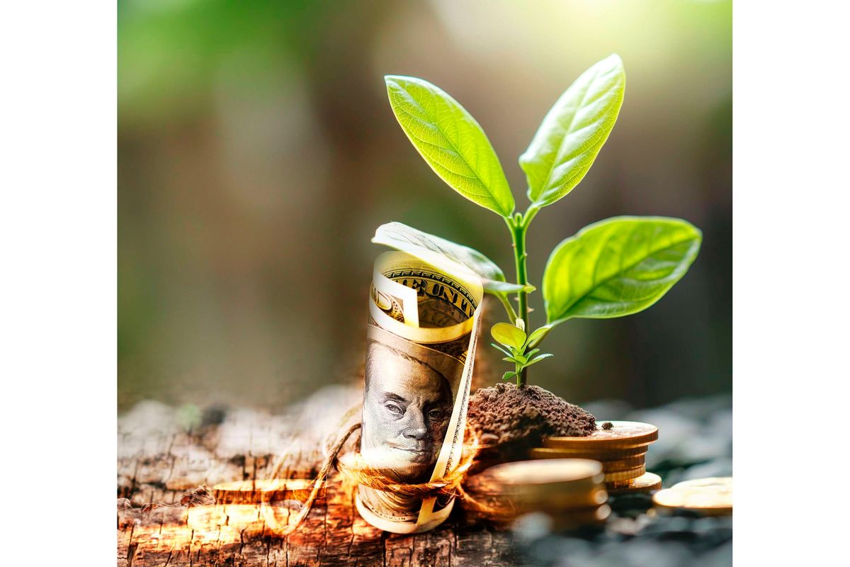 Britam marks Sh2bn for startups as it expands venture capital arm