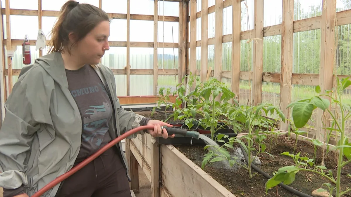 Tackling food security in remote Beaver Creek, Yukon