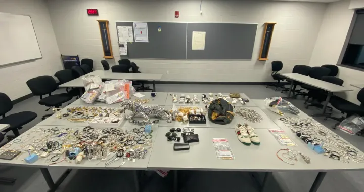 Nearly $1M in jewelry recovered in Ontario retail theft investigation