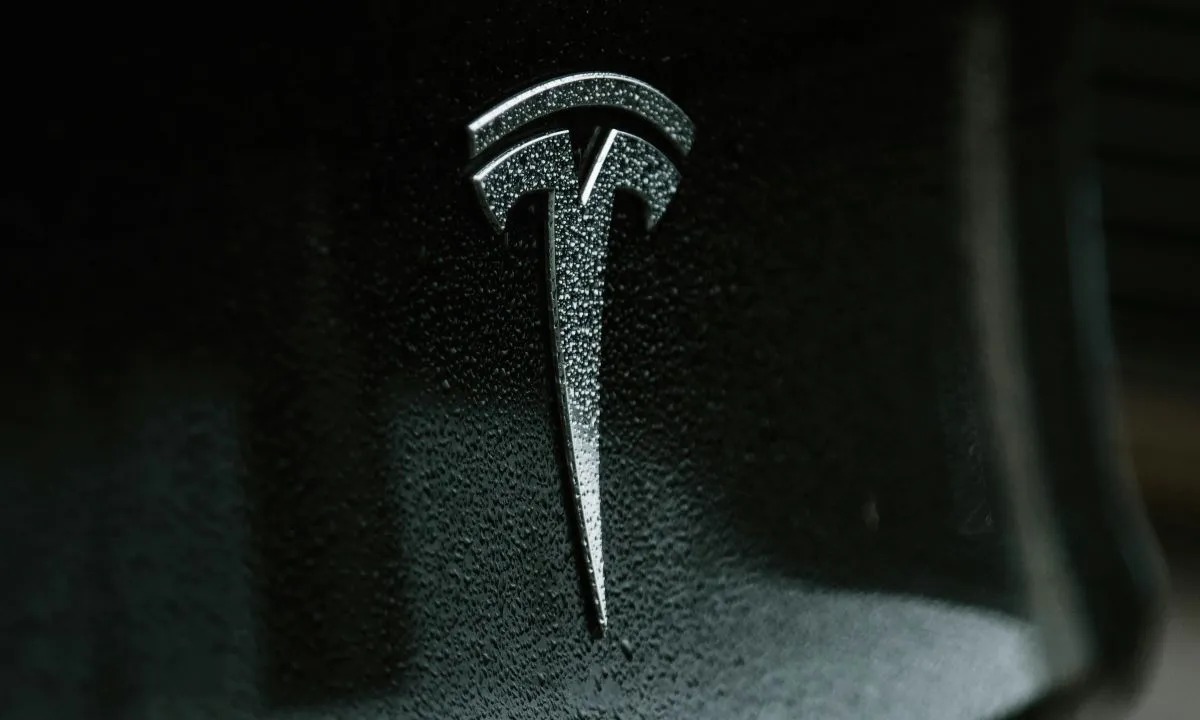 Tesla Pumps Brakes on In