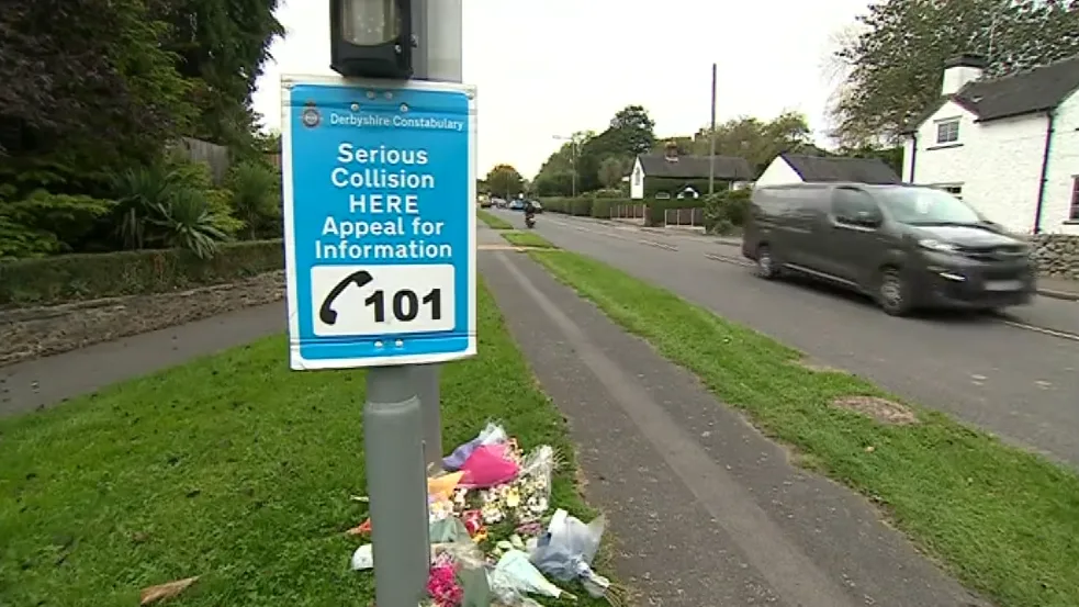 Former chief inspector admits causing crash death