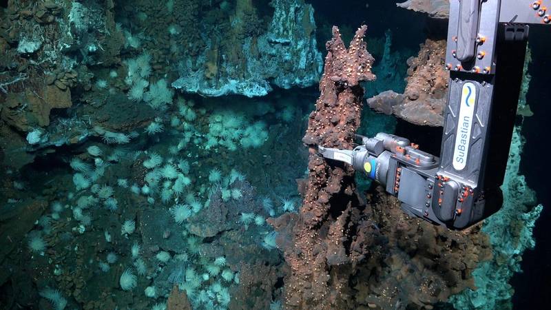 Subsea Hydrothermal Vents Discovered in the Doldrums Region