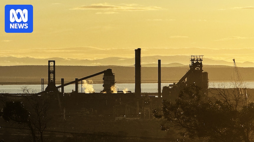 Court case against chair of Indian steelmaker won't affect Whyalla sale, SA government says