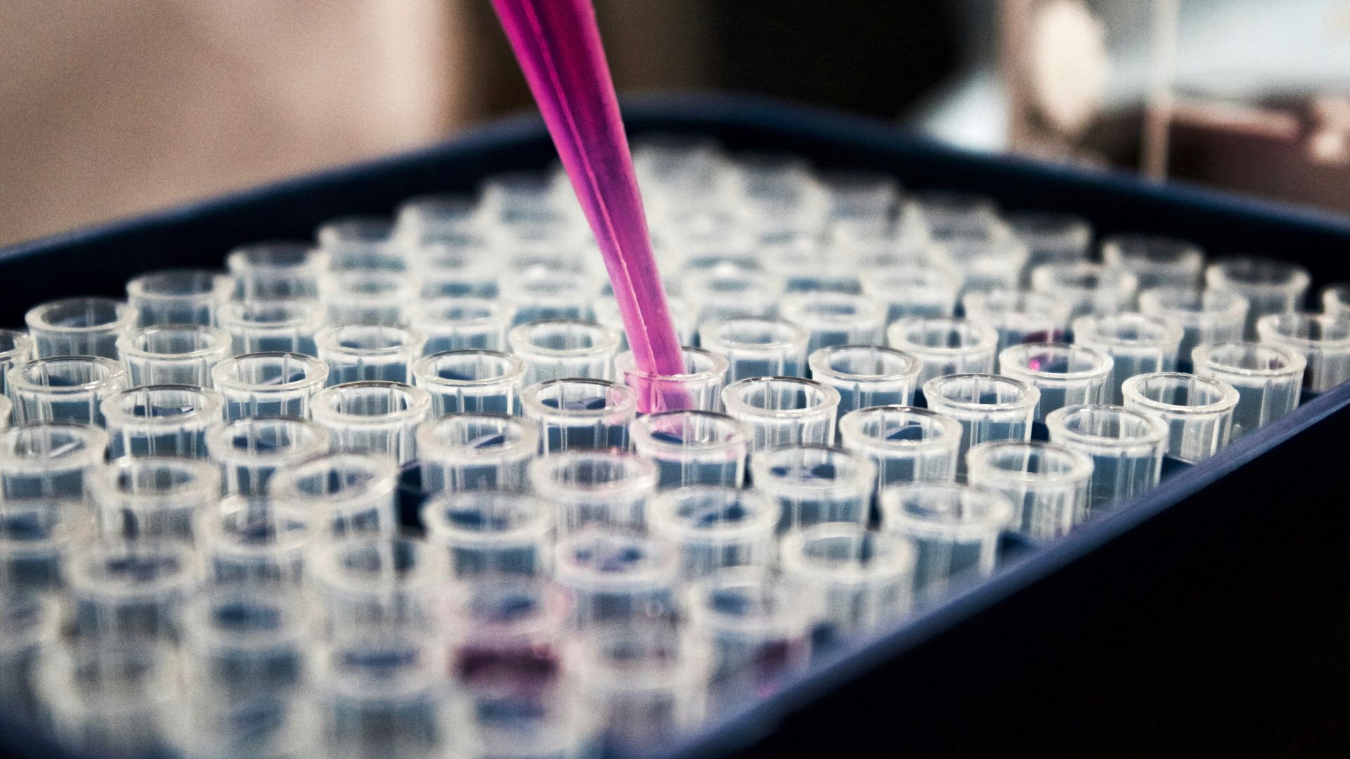London’s Alchemab Therapeutics secures €29.3 million as British Business Bank makes its largest life sciences investment yet