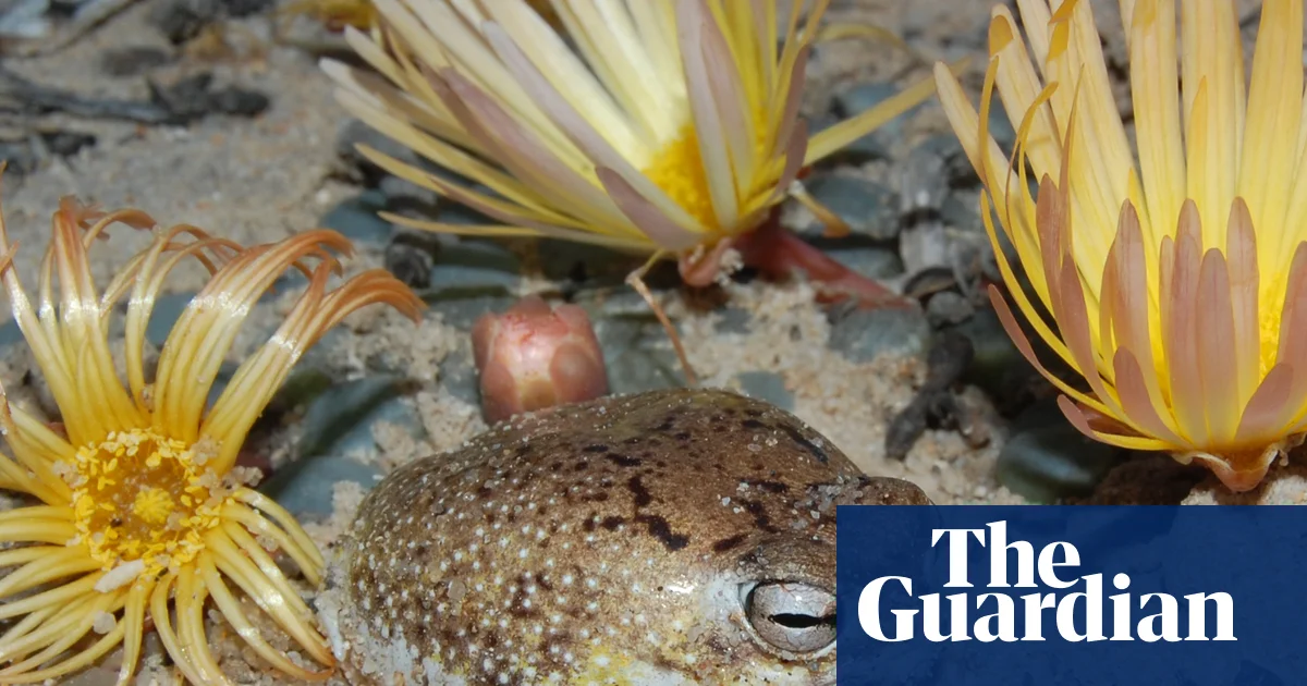 Species’ ingenious survival strategies no match for human destruction, red list reveals