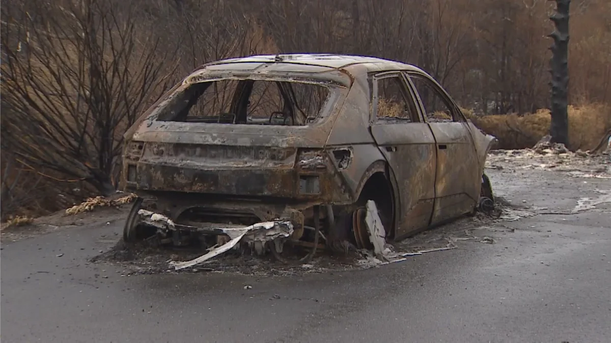 Canada's wildfire season 'challenging' but manageable, federal officials say