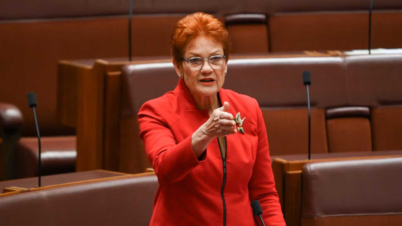 ‘Energy hypocrisy’: Pauline Hanson demands end to Australia’s nuclear ban after India deal