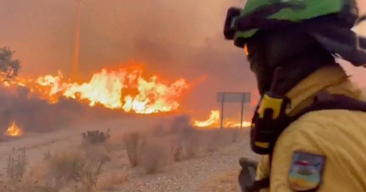 Wildfires across Europe have killed hundreds over the last decade