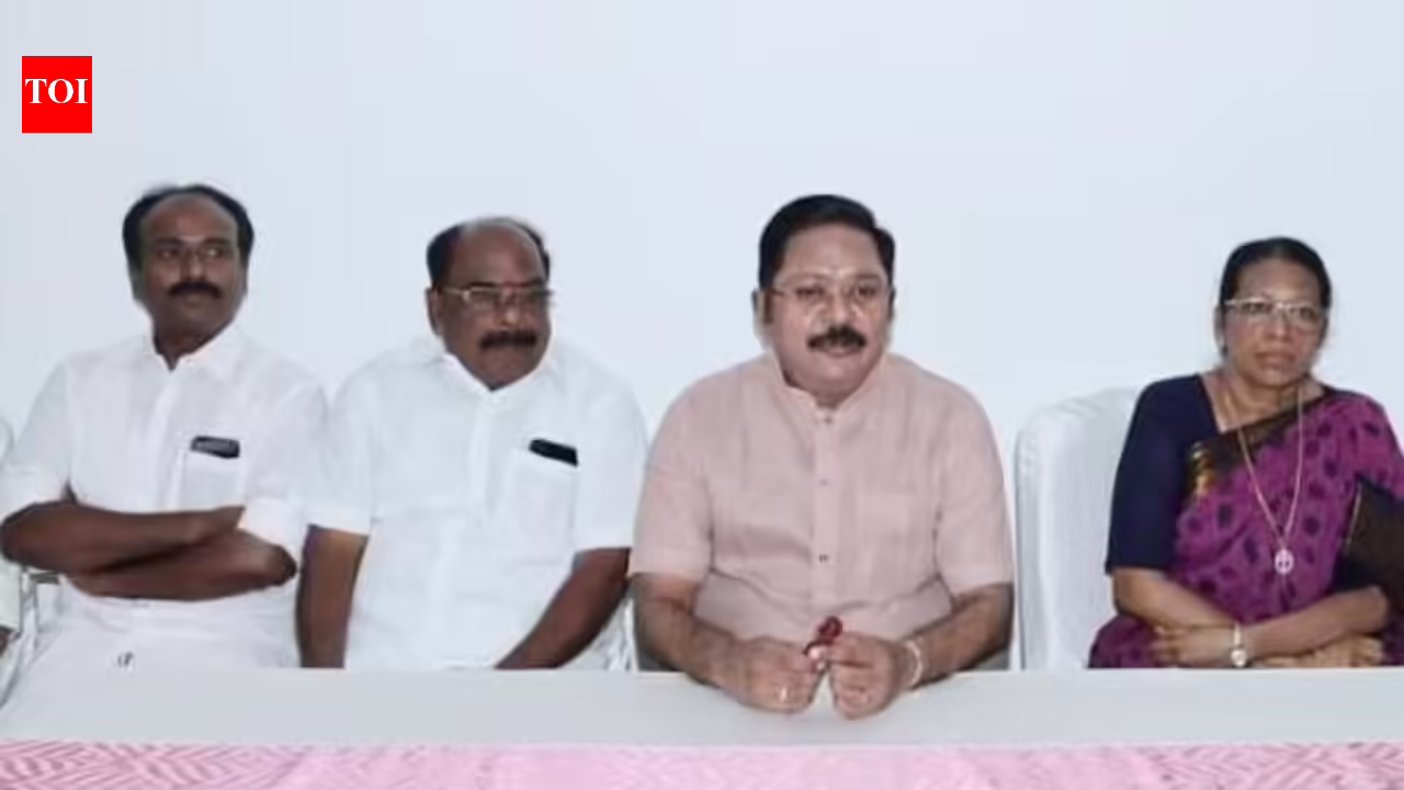 Any alliance possible in politics: TTV