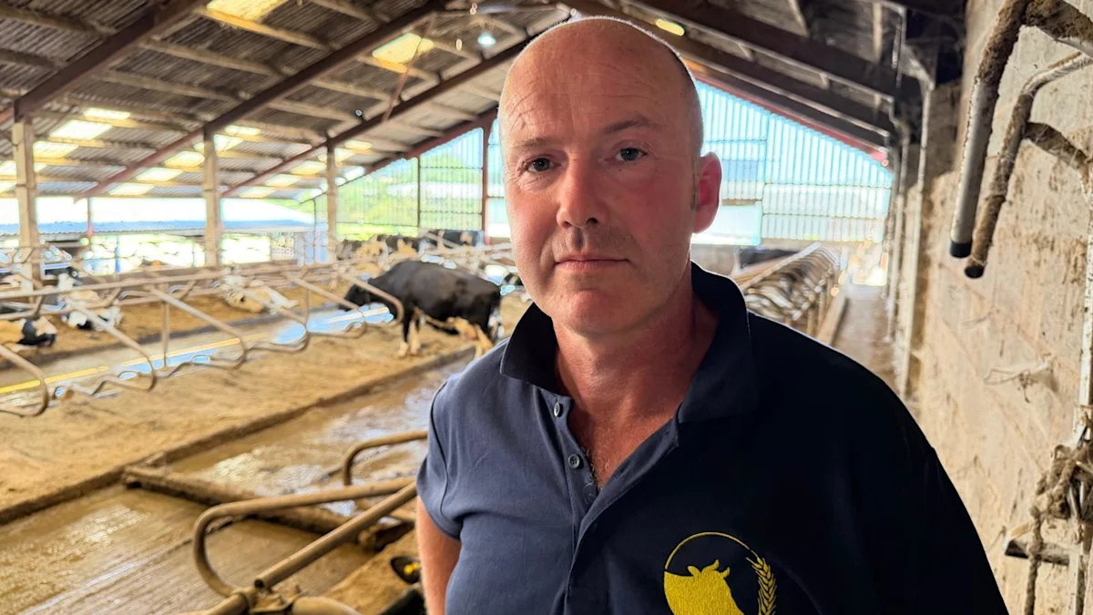 Heatwave reducing milk production, says farmer