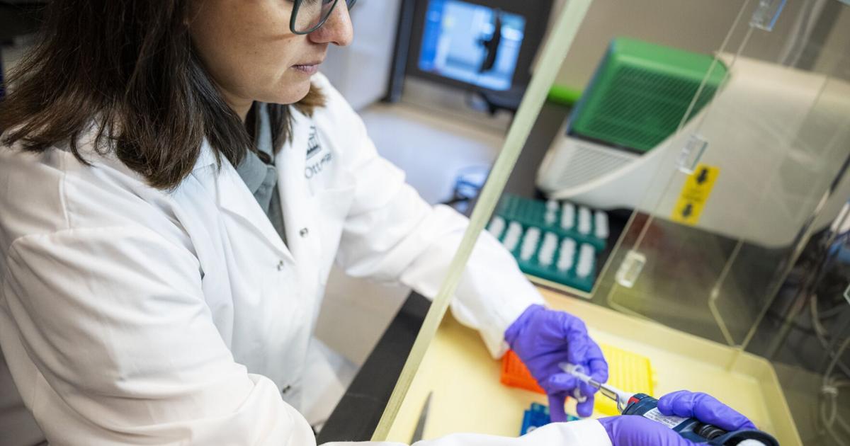 Ticks are a growing threat. So why did federal funding for a Lyme research group end?