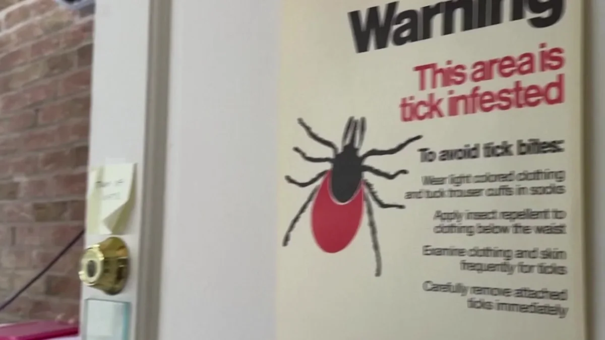New tick