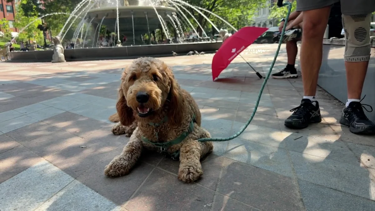 Heat wave gripping Ontario to hit its peak