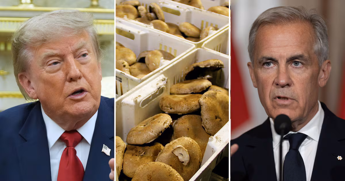 Canada to be hit with increased U.S. tariffs on fresh mushrooms