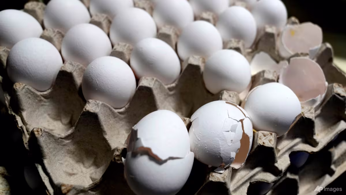 Egg