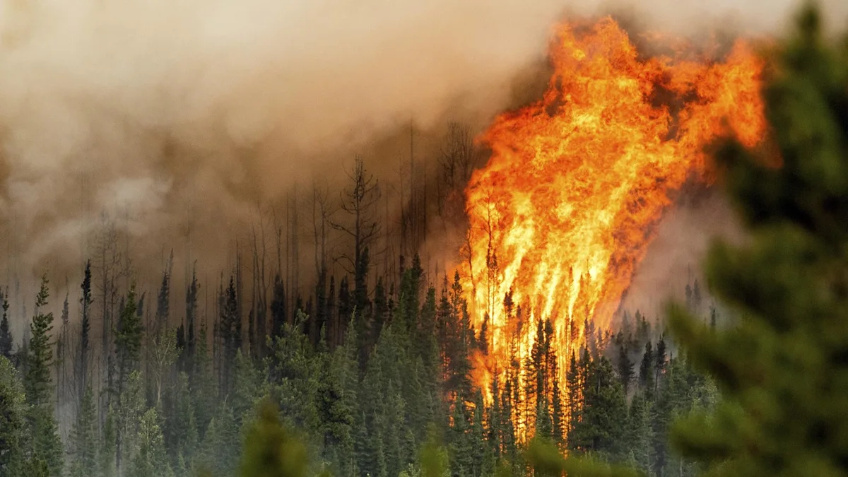 Here's what to know about the science behind wildfires