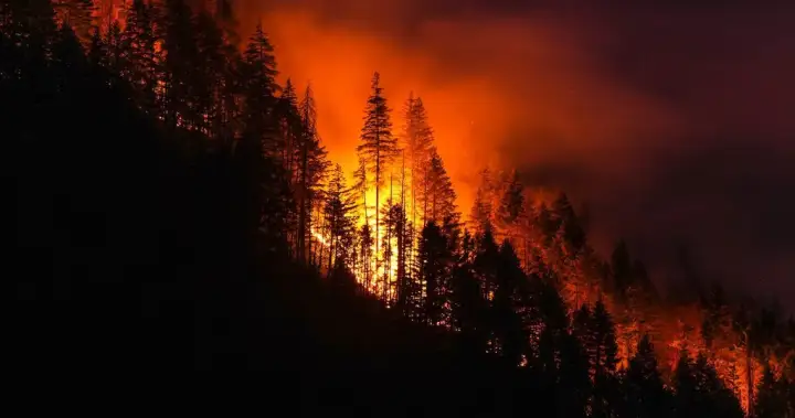 Wildfires force new evacuation order for Boston Bar area